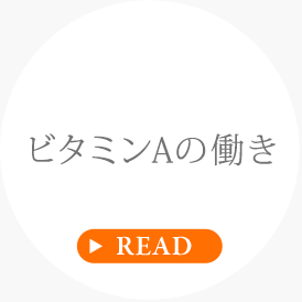ビタミンAの働き