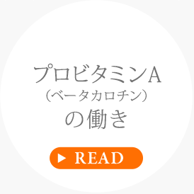 プロビタミンA(ベータカロチン)の働き